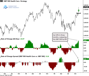 Read more about the article Health Care’s Rebound: Dead Cat Bounce or New Leadership Cycle